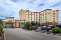 Deerfoot Inn and Casino Hotels near Fish Creek park Ice Caves