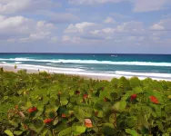 Hampton Inn & Suites Boynton Beach Hotels in Boynton Beach