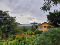 Yellow Tree Suites