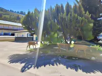 Lido Motel Hotels in Radium Hot Springs