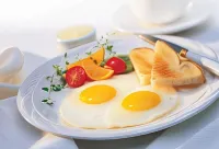 Hotel Marigold Hotels in Delhi