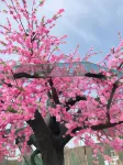 7Days Inn Chain Hotel (Hanzhong Yang County Heping Road) Hotels in Yang County
