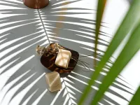 San Cristobal Boutique Hotel - Ivato Airport - petit déjeuner