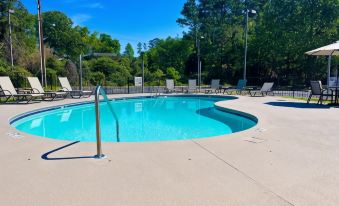 Comfort Inn & Suites Clemson - University Area