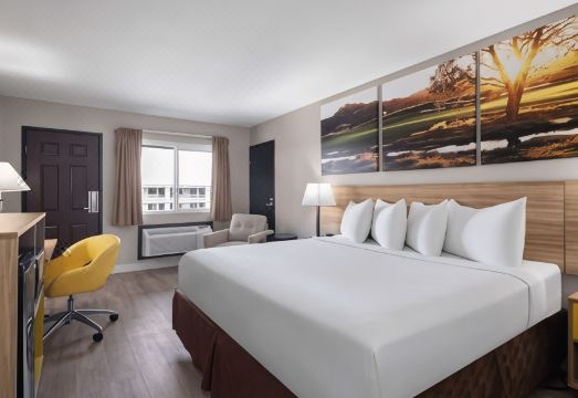 5. 데이즈 인 바이..