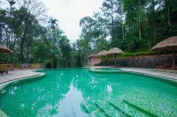 Oxygen Resorts Thekkady - Rooftop Pools