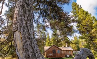 Cooper Spur Mountain Resort