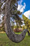 Cooper Spur Mountain Resort