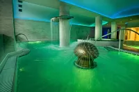 Albergo Alla Rosa - Pools