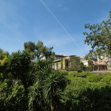 The Bellini House by House in Naples