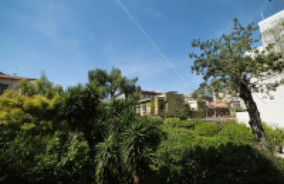 The Bellini House by House in Naples