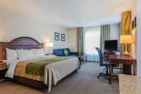 Comfort Inn & Suites Hotel di Burlington