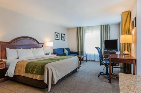 コンフォート イン & スイーツ サウスバーリントン ニア ユニバーシティ のホテル