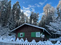 Waldchalet am Eichhof