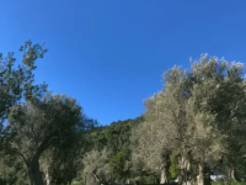 Senda Caimari Hotels in Caimari