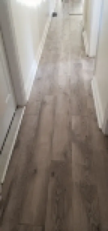 Leatherwood Bay/KY Lake/ TN River, Dover, Paris Landing, Danville