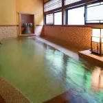 Matsunoyama Onsen Shirakawaya Hotels in Tokamachi