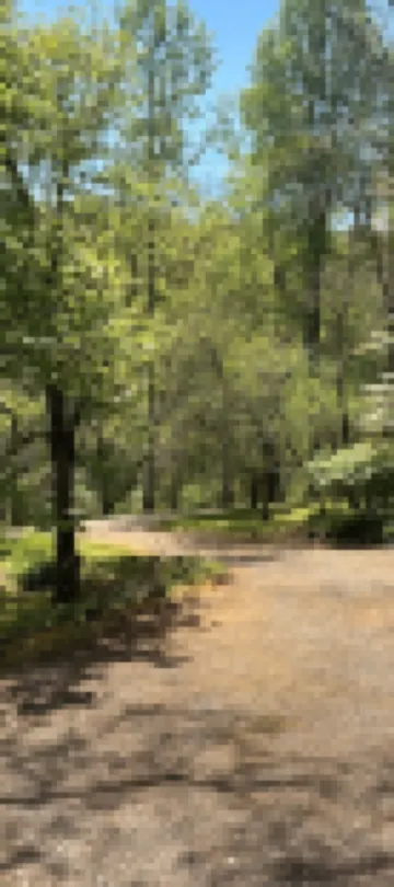 Godin's Get A Way,  Creekside cabin, Relax in Murphy, NC.  Close to everywhere!