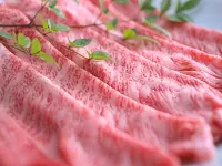 천연 온천 아카네미 료칸