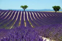 Rdc de villa en Drôme Provençale avec piscine privative et entrée indépendante