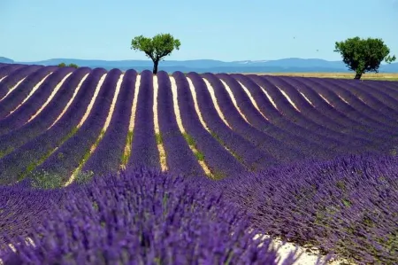 Rdc de villa en Drôme Provençale avec piscine privative et entrée indépendante