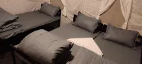 The Jungle Mist Resorts & Retreat