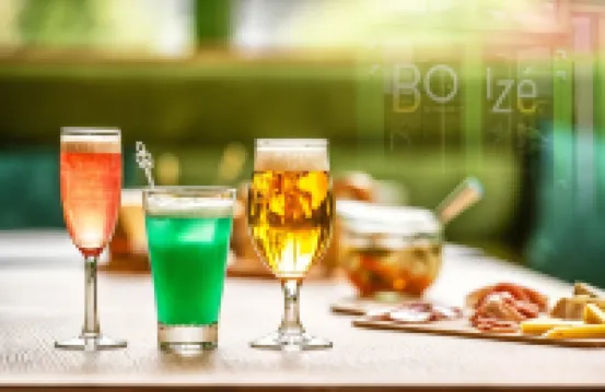 尼奧爾普瓦特萬沼澤美居酒店 尼奧爾酒店