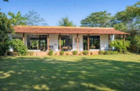 Mahua Tola Tadoba
