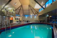 Ascot Park Hotel - Pools
