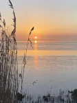 Guest apartment Stadtoase Usedom No. 2 - 2-Star