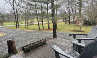 1-bedroom apartment in Mills River, NC-Close to hiking, breweries, dog friendly