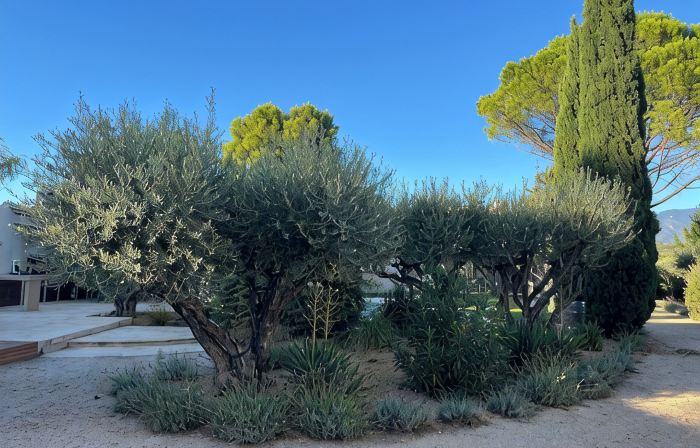 Fantastic private villa with heated saltwater pool in Provence