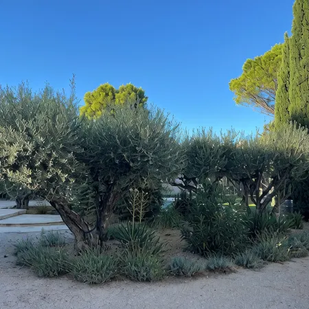 Fantastic private villa with heated saltwater pool in Provence