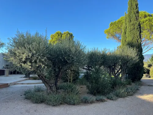 Fantastic private villa with heated saltwater pool in Provence - Villas
