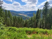 94sqm vacation apartment in the attic WLAN National Park Northern Black Forest quiet location - 2-Star