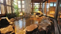 Onyado Nono Toyama Natural Hot Spring - Varme kilder