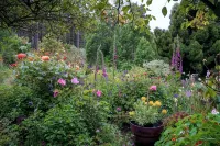 Peaceful Garden Oasis with Breakfast Provided - واي فاي
