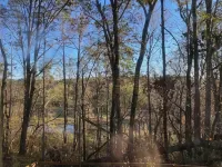 The Wildwood Haven Hotels in Lee County