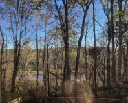 The Wildwood Haven