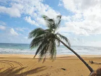 Airy Ocean View Corner Condo at Peña Mar Ocean Club - 沙灘
