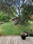 Much Loved Period Cottage