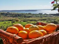 Great Location: FREE Gozo transfers, WIFI, Bicycles & BBQ  – NO Car required! Hotels in Ghajnsielem