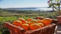 Great Location: FREE Gozo transfers, WIFI, Bicycles & BBQ  – NO Car required! - Wifi