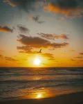 Cayman Imperial Suite-Close to Beaches, Restaurants, Bus-stops & Stores
