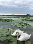 Apartment close to the lake and beach - 2-Star