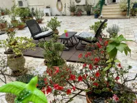 Sunny Terrace of Flowers in Central Lisbon