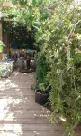 T1 apartment for weekly rental (60m2) Méze 15 "from Balaruc and Sete