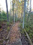Aspen Chalet- overlooks Brickyard Creek in Bayfield - 4 stjerner
