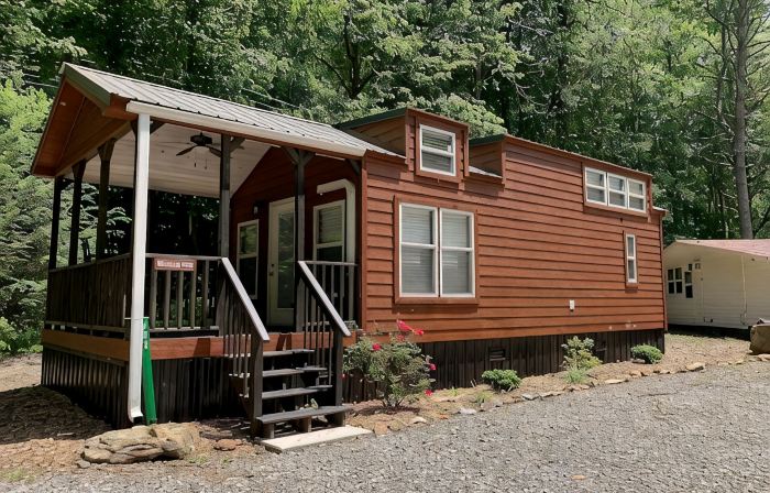 Tiny Home only 1 mile to Vogel State Park!  Wandering Wood at the Reece Farm Vlg