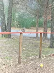 Pet-Friendly 3-bedroom neighborhood home close to shopping, lake and river - 3-Sterne